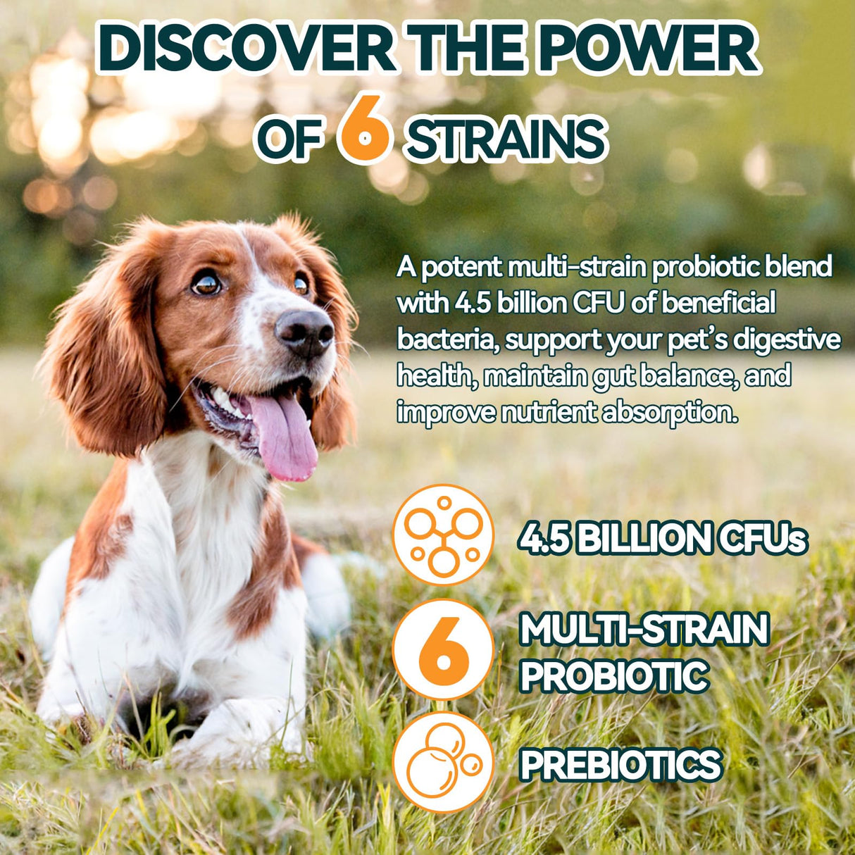 Carmelie Probiotics for Dogs, 200 Soft Chews Digestive Probiotics & Enzymes for Gut Health with Pumpkin, Fibre for Dogs Anti Diarrhea, Upset Stomach, Gas Relief, Itchy Skin & Immune Support (Chicken)