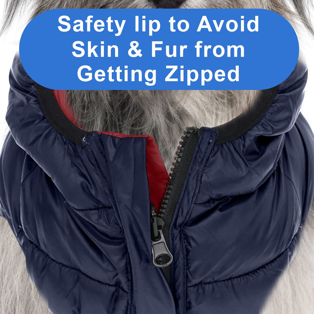 Pawtitas Reversible Windproof Dog Jacket | Water Resistant | Winter Coat for Puppies - Red & Blue Up Dog Vest - Small Breed - Pouch Included