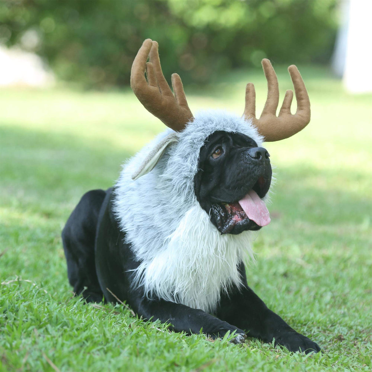 Onmygogo Funny Dog Halloween Costumes, Cute Furry Pet Wig for Halloween Christmas, Pet Clothing Accessories (Moose, Size M)