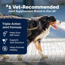 Load image into Gallery viewer, Yumove Hip &amp; Joint Supplement for Dogs - with Glucosamine Chondroiton, Green Lipped Mussel, Hyaluronic Acid, and Omega 3 Joint Supplement for Stiffness and Mobility - 60 Chews (Large/XL Dogs)
