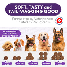 Load image into Gallery viewer, Advanced Melatonin for Dogs - 170 Dog Melatonin Calming Chews for Small and Large Dogs - Natural Hemp Dog Sleep Aid, Puppy Sleeping Pills, Anxiety, Stress, Separation, Barking, Fireworks - Made in USA
