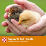 Purina Start and Grow | Non-Medicated Chick Feed Crumbles | Nutritionally Complete - 25 Pound (25 lb.) Bag