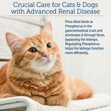 Load image into Gallery viewer, Rx Vitamins Phos-Bind - Kidney Support Supplement Powder - Phosphate Binder for Cats &amp; Dogs for Kidney Health - Supports Normal Kidney Cleanse and Essential Kidney Care - 35g
