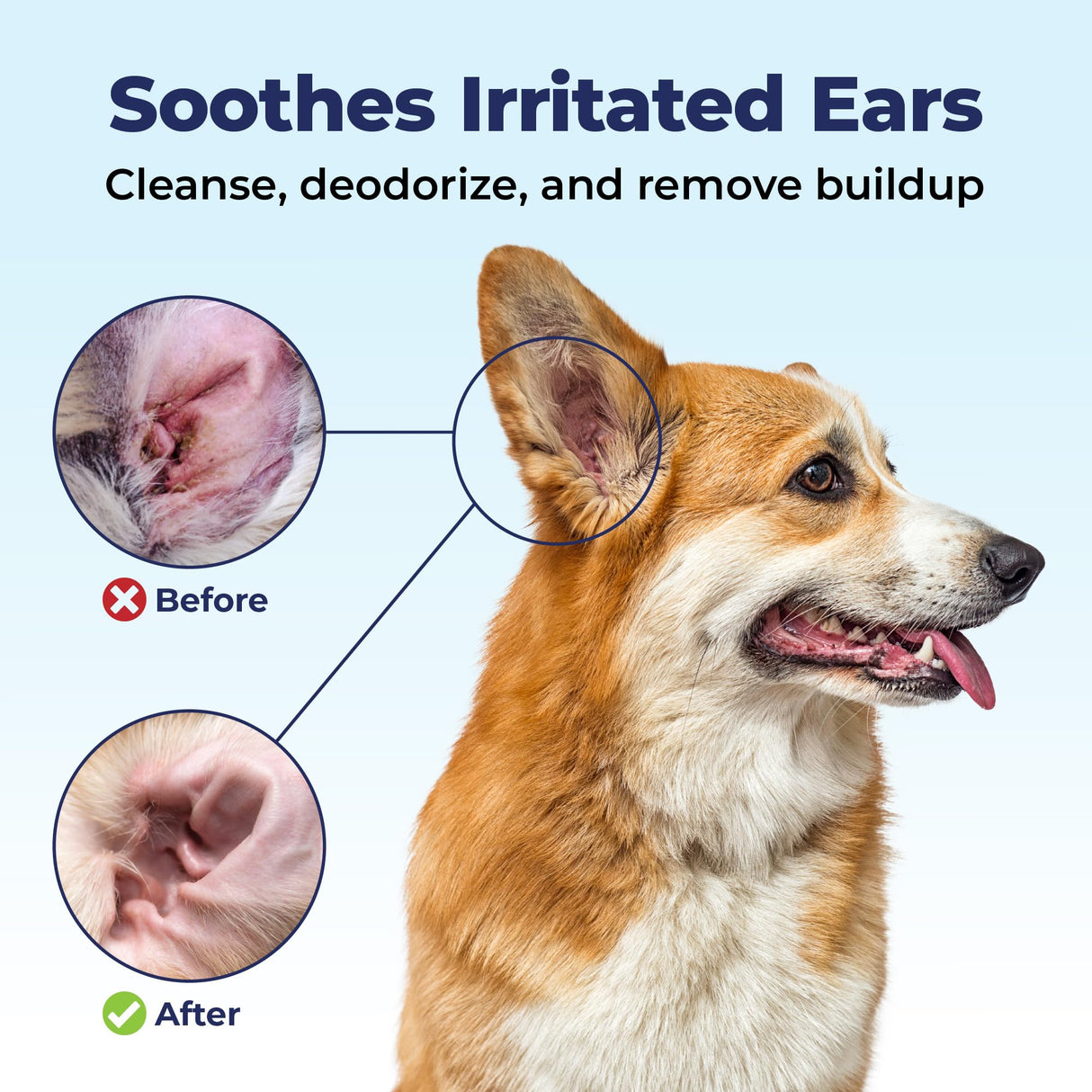 Vetnique Oticbliss Dog Ear Cleaner Flush with Odor Control, Dog Ear Cleaning Solution for Dirt and Wax with Soothing Aloe Dogs & Cats Flush - Vet Recommended for Itchy Ears (8oz, Flush)