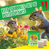 Squirrel Repellent Outdoor 12 Pouches, Chipmunk Repellent Outdoor for Bird Feeders, Natural Squirrel Deterrent Keep Squirrels Out of Garden Yard, Squirrel Repellent for Attic Cars Engines Roof