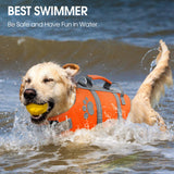 Queenmore Large Dog Life Vest for Swimming, XL Dog Life Jacket, Large Breeds Life Vest for Swimming, Lightweight Pet Lifesaver for Boating with Rescue Handle, Pet Floating Vest for Water Pool