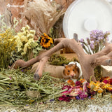 Niteangel Natural Flower & Herb Bedding Habitat Decor - for Hamsters Gerbils Mice Lemming Degus or Other Small Pets (Harvest Wind - Flower Version)