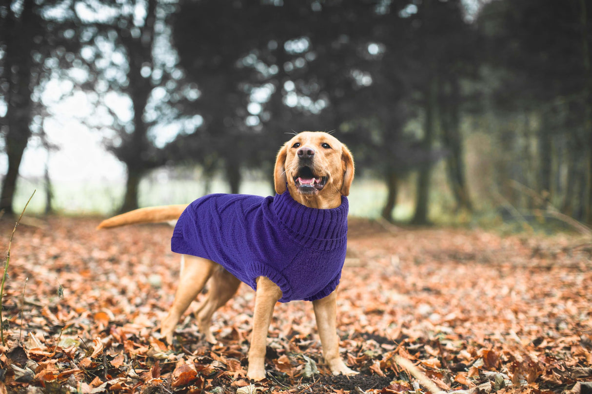 Queenmore Dog Sweaters for Medium Dogs Pit Bull Sweater for Dogs Boy Girl Winter Christmas Sleeveless Turtleneck Cable Knit Stretchy Sweatshirt Dog Sweaters Pet Clothes Xmas Outfits (Orchid, Medium)