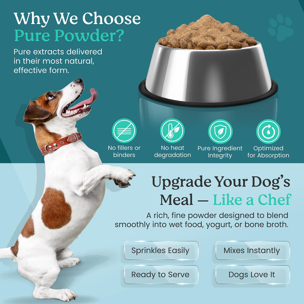 Doggie Herbs Organic Super Turkey Tail Mushroom Powder for Dogs- High Potency 550mg Beta Glucans Per Scoop- 100% Fruiting Body Extract (No Mycelium/Grain)- Immune Defense- Human Grade K9 Supplement