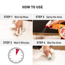 Load image into Gallery viewer, Nature’s Miracle Set-In Stain Destroyer Dog 1 Gallon, Oxy Formula With Orange Scent, 128 Ounces
