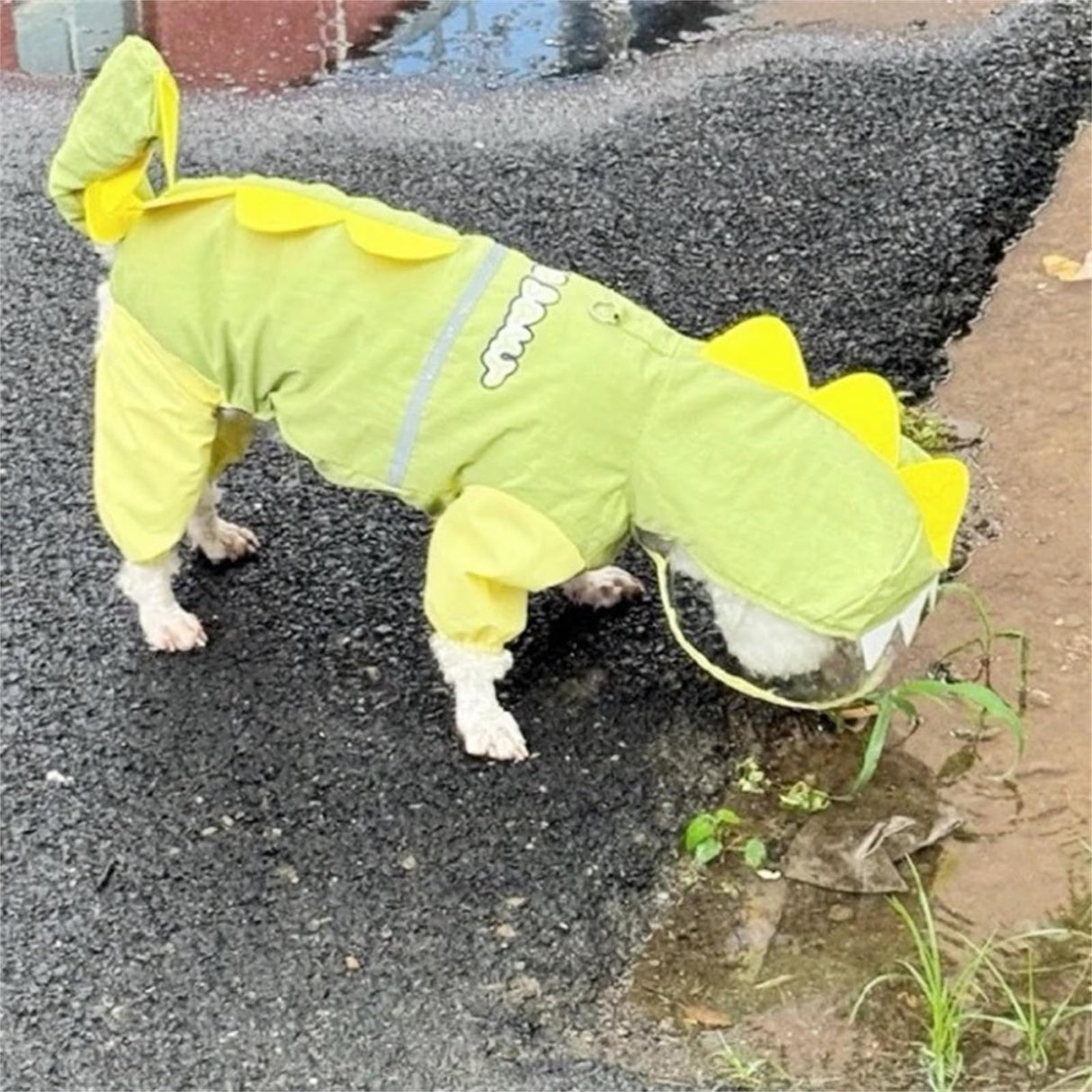 Waterproof Dog Raincoat, Dinosaur Design, Full Body Protection with Elastic Trousers, for Small Dogs (Green, Medium)