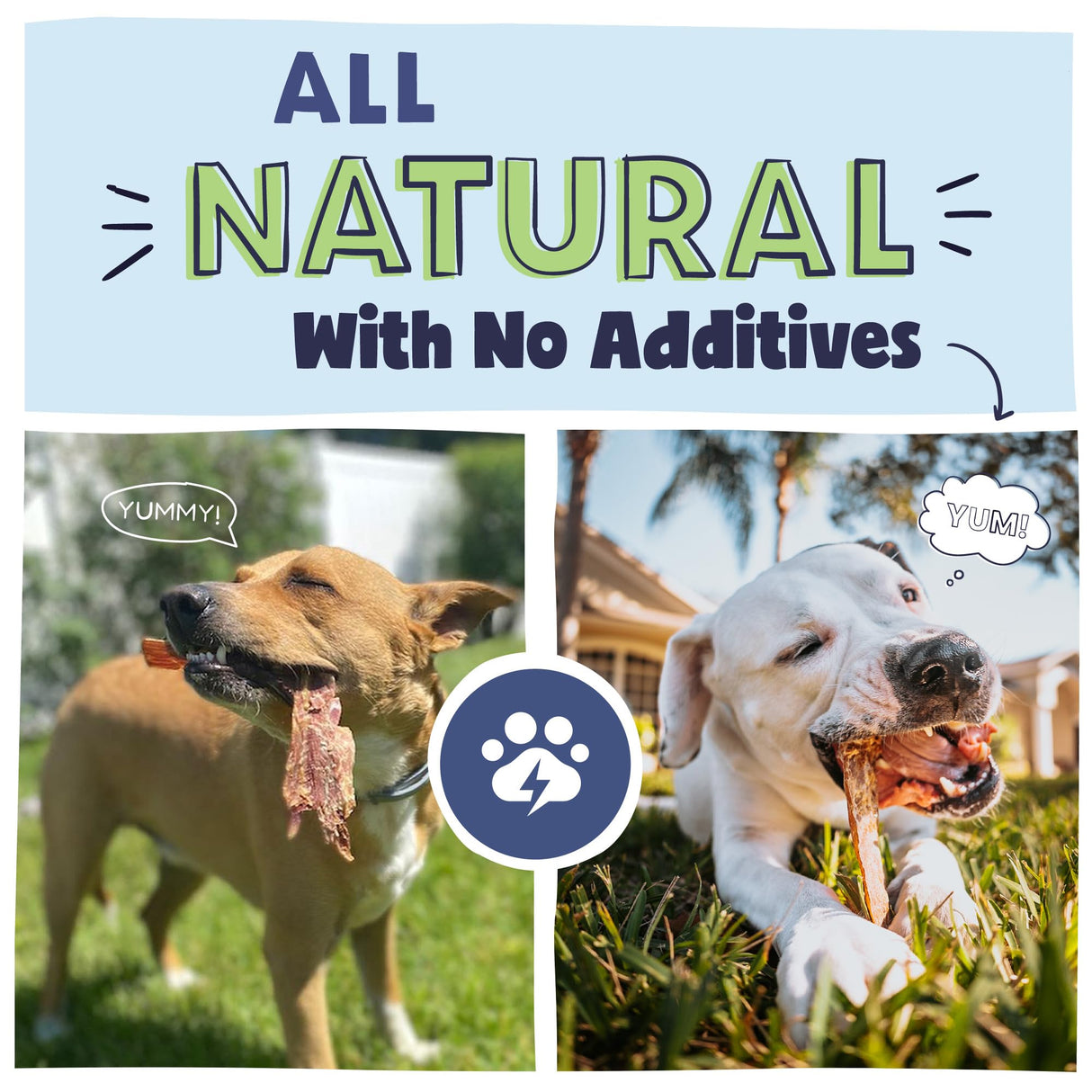 Pawstruck Premium Beef Jerky Dog Treat Chews, Medium 4"-6" Strips – Supports Hip & Joint Health, Rich in Glucosamine & Chondroitin, No Added Preservatives – 25 Count