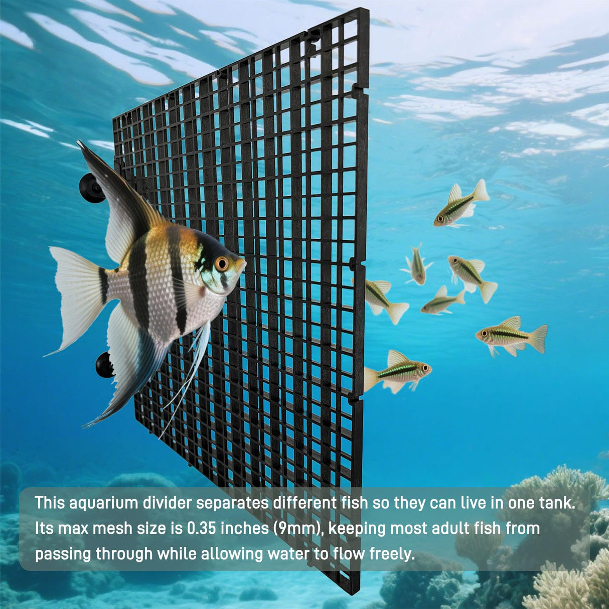 TQDXZA 0.35-Inch Black Aquarium Divider Panel 11.8"x11.8",8pacs - Strong Suction Cups, Easy Cut Design to Separate Fish (10-55 Gallon Tanks)