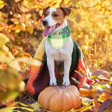 Sweetude 100 Pcs Fall Dog Bandanas Bulk Plaid Bandanas for Dog Autumn Thanksgiving Pet Scarf Bibs Adjustable Triangle Kerchief Grooming Supplies Pet Costume for Small Medium Large