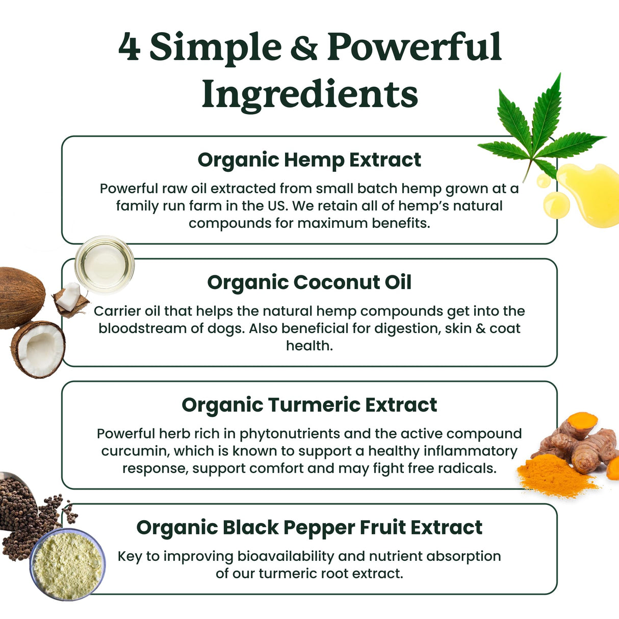 Lolahemp Hip & Joint Hemp Oil for Dogs – Mobility Support with Organic Hemp & Turmeric – Mobility, Comfort & Longevity