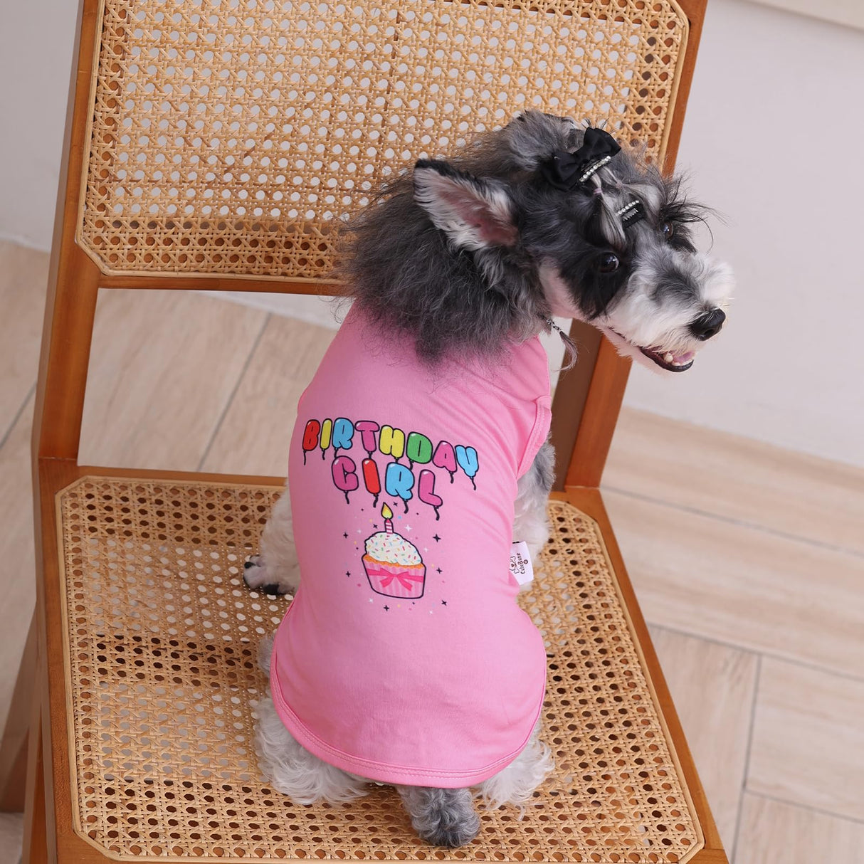 CuteBone Soft Dog Shirt Birthday Lightweight Small Puppy T-Shirts Pet Clothes Breathable Tee Vest Stretchy Outfit Cat Apparel