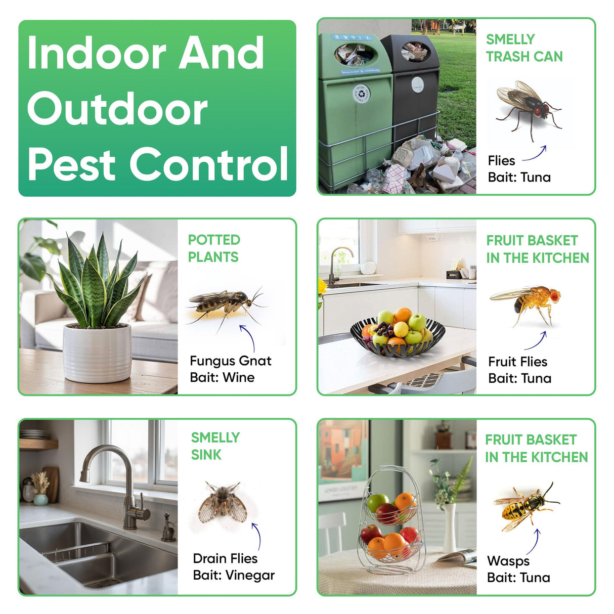Sticky Fly Trap Indoor & Outdoor Pack of 4 | Hanging Fly Stick for Gnats, Flies, Wasps, Mosquitoes & Other Flying Bugs | Fly Trap Sticky | Home Pest Control | Flying Insect Trap Rolls | Ucatch