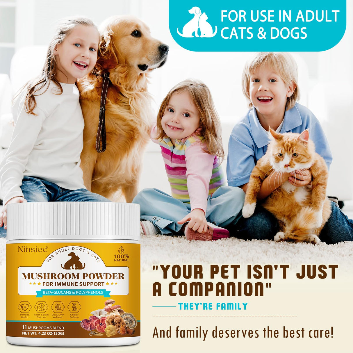 Mushroom Supplement Powder for Dogs & Cats, Turkey Tail Mushroom for Pets, Lipoma for Cats, 11 Organic Mushroom Complex, Partner Guard for Dogs Lumps and Bumps
