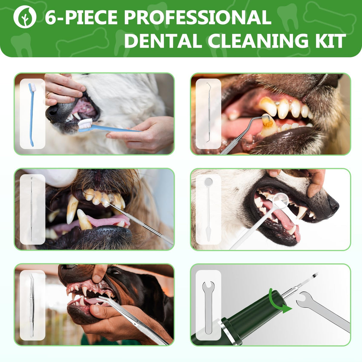 Opdent Dog Plaque and Tartar Remover - Dog Tooth Brushing Kit Electric Toothbrush for Dogs,5 Adjustable Mode& 3 Cleaning Head, Plaque Remover for Teeth Stains for Dogs and Cats (Green)