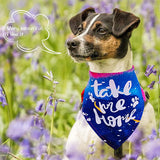 JpGdn 30Pcs/Pack Adopt Me Dog Bandanas Bulk with Paw Print Stitching Hemming Selvedge Sewing Scarves for Small Medium Foster Animals to Look for Homes or Adoption