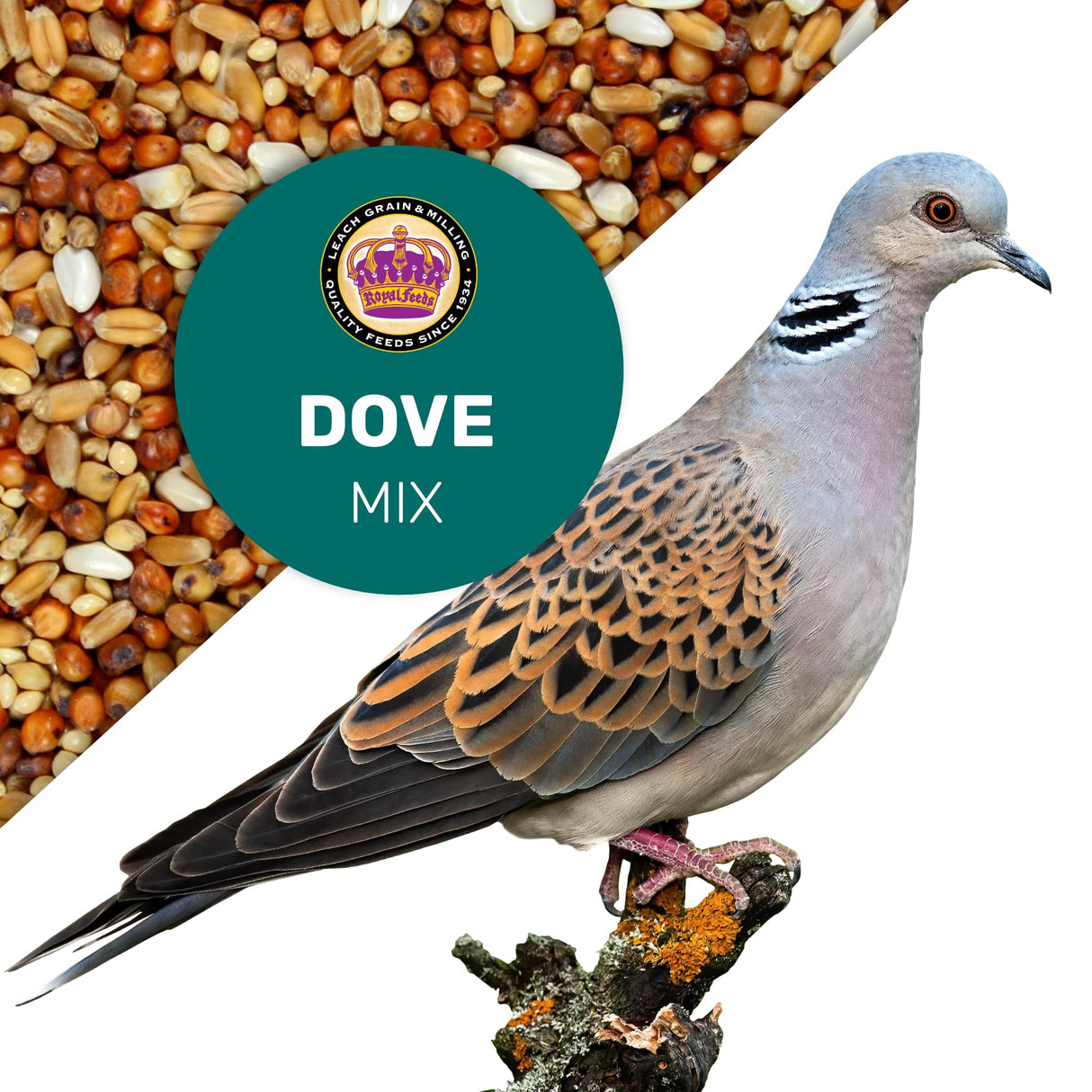 Dove Mix 5 Lbs, Dove Food, Premium Dove Bird Seed, Nut Free Mix Feed for Dove, Nutrient-Rich Mixed Birdseeds, Supports Daily Energy Growth & Healthy Balanced Diet, Bird Seed for Outside Feeders