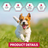 TriOak Calming Diffuser for Dog: Appeasing Dog Pheromones Calming Diffuser Plug in Kit for Separation Anxiety, Stress Chewing, Peeing Accidents, 2 Diffusers + 4 Refills (Teal)