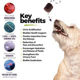 UroMAXX Dog Urinary Tract Infection Treatment, Bladder & Kidney Support for Dogs, Powerful Pet Care, Natural Soft Chews with Cranberry & Glucosamine, Made in The USA, Chicken Flavor, 90 Count, 1 Pack