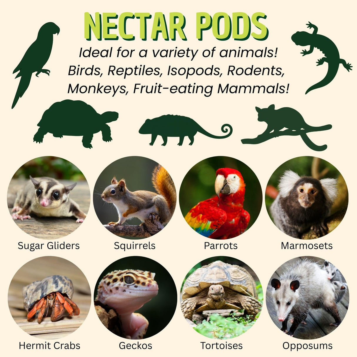 Nectar Pods (Variety 4 Pack) - Calcium-Fortified Jelly Fruit Treat - Sugar Gliders, Marmosets, Squirrels, Parrots, Cockatiels, Parakeets, Birds, Hamsters, Day Geckos, Kinkajous & Other Small Pets
