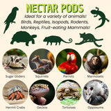 Nectar Pods (Variety 4 Pack) - Calcium-Fortified Jelly Fruit Treat - Sugar Gliders, Marmosets, Squirrels, Parrots, Cockatiels, Parakeets, Birds, Hamsters, Day Geckos, Kinkajous & Other Small Pets