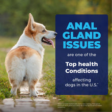 Load image into Gallery viewer, Vetnique Glandex Medicated Dog Butt Wipes or Spray for Dog Scooting - Topical Anti Itch Skin Relief for Soothing Inflamed Anal Glands in Dogs &amp; Cats - Fast Acting Formula (4oz Spray)
