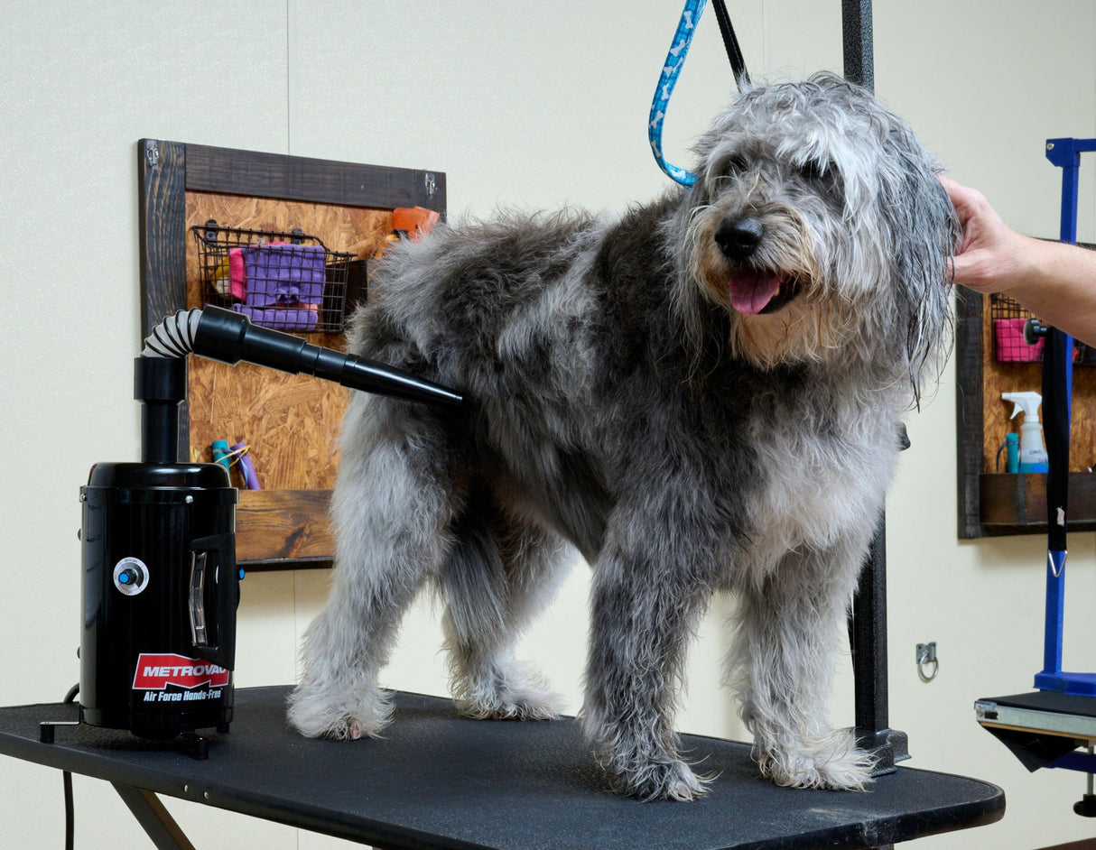 METROVAC Air Force Hands-Free High Velocity Dog Hair Dryer | Variable Speed Pet Grooming Blower with Heat and Adjustable Hose