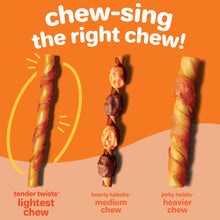 Load image into Gallery viewer, Hartz Oinkies Tender Twists with Real Chicken Breast Rawhide-Free Dog Treats, Highly Digestible Dog Chews, 72 Count
