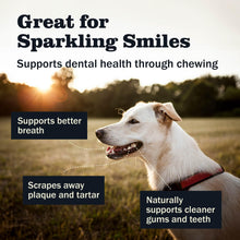 Load image into Gallery viewer, Redbarn Pet Products All Natural 5"-8" Bully Sticks for Small &amp; Large Dogs - Healthy Long Lasting Chews Variety Party Pack - 100% Beef Single Ingredient Low Odor Rawhide Free Dental Treats - 8 oz Bag
