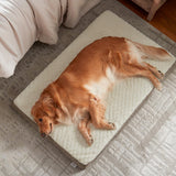 JOEJOY Orthopedic Dog Bed for Large Dogs, Washable Dog Crate Bed Large Sized with Removable Cover, Egg Memory Foam Big Pet Beds, Beige, 35"x22"