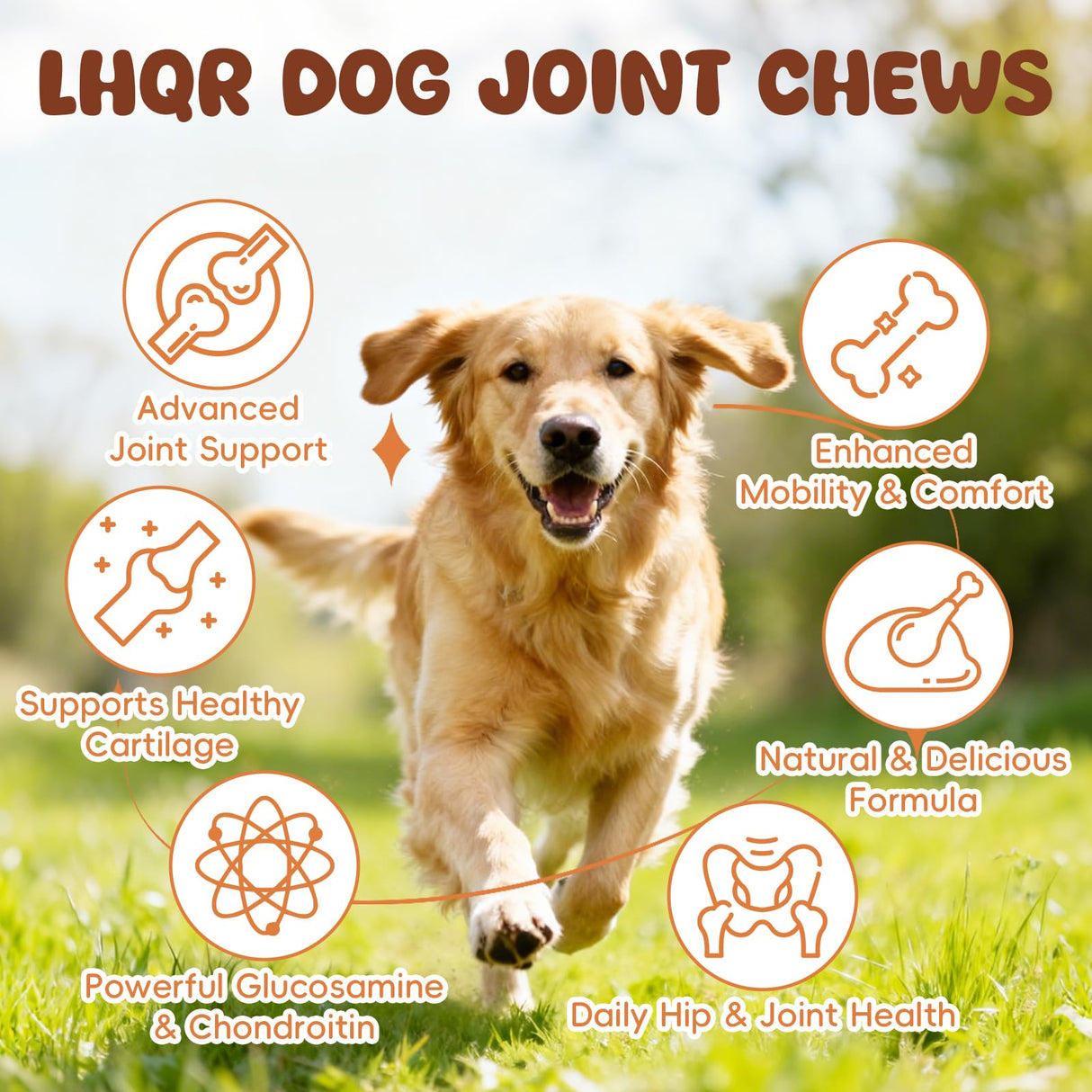 Glucosamine for Dogs Hip and Joint Supplement 200 PCS Glucosamine Chondroitin MSM for Dogs Hip & Joint Pain Relief Mobility Support for All Small Medium Large Breeds Chicken Flavor