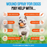 Silver Dog Wound Spray Helps with Hot Spots, Irritations, Bites, Burns, Rashes, Itch, Scratching – Better Use with a Dog Cone to Stop Licking – Safe for Large and Small Breeds – 4 oz