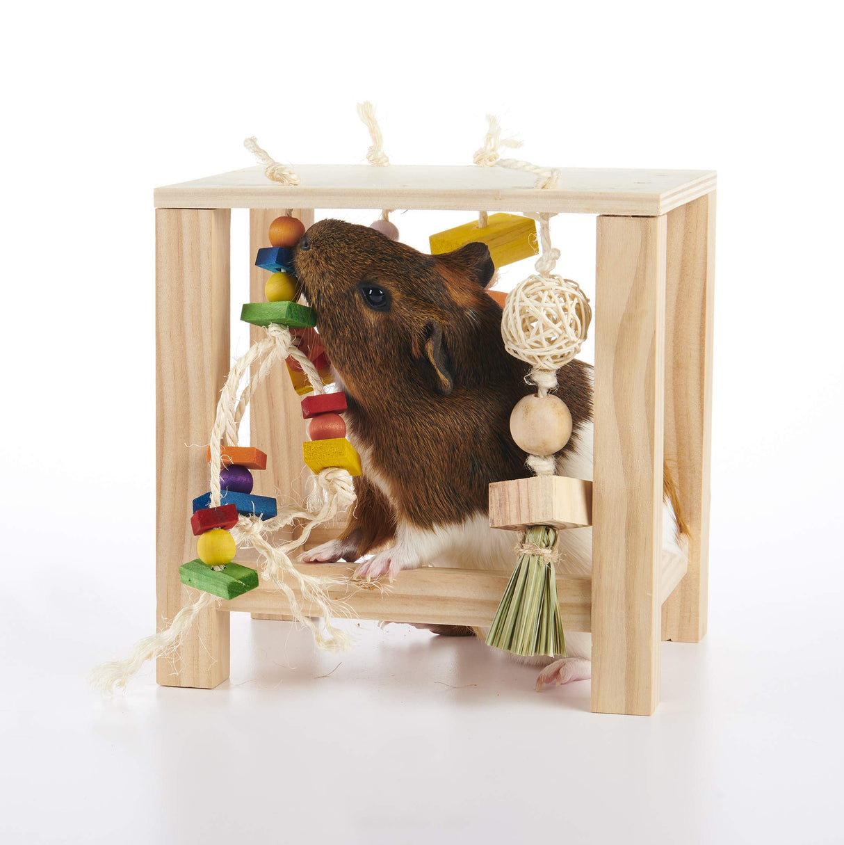 Oxbow Enriched Life Play Table, Rabbit Toys, Guinea Pig Toys, Enrichment for Bunny, Guinea Pig, Hamster, Rabbit, Chinchilla, Rat, Chinchilla Cage Accessories, Small Pet Accessories for Cage