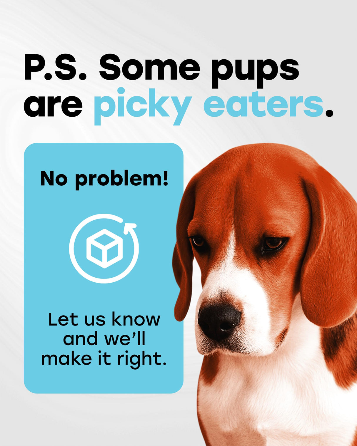 Pup Choice Chewable Dog Probiotics – All-in-One PhD-Endorsed Digestive Enzymes, Prebiotics, Turmeric, Omega-3 & Fiber – Gut, Diarrhea, Itchy Skin & Ear Support – All Ages, Made in USA, 140 Beef Chews