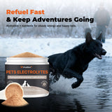 Electrolytes for Dogs – Vet-Formulated Hydration Supplement– Supports Post-Surgery & Illness Recovery– Helps Replenish Fluids & Electrolytes Lost from Diarrhea, Vomiting & Poor Appetite