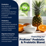 Vetnique Glandex Daily Probiotics for Dogs with Prebiotics to Support Gut Health with Fiber and Digestive Enzymes, Probiotic Chews or Powders (60ct Chews, Bacon Chews)