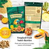 LAFEBER'S Gourmet Nutri-Berries Pet Bird Food Variety Sampler Bundles, Made with Non-GMO and Human-Grade Ingredients, for Parrots, 10 oz. Each (4 Pk Bundle)