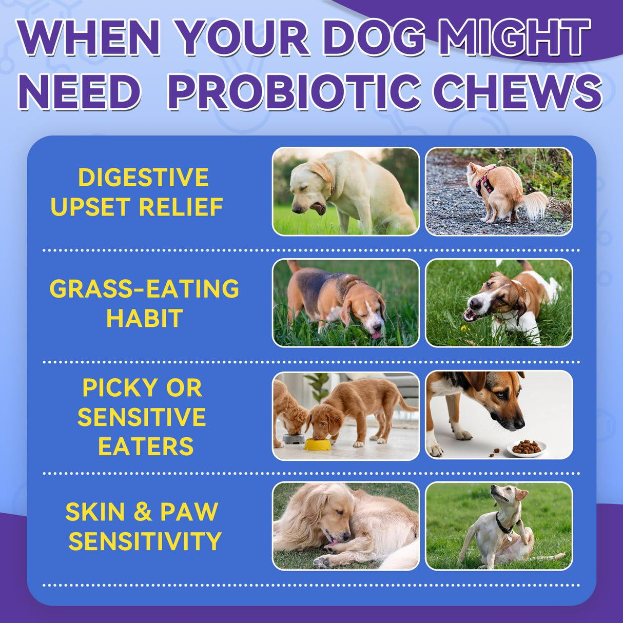 Dog Probiotics Chews 500 Chews, Sensitive Stomach Support Crunchy Shell with Krill Core, Triple Probiotics & Prebiotics, Digestion, Immunity & Skin Care, Chicken Flavor, for All Breeds & Sizes Dogs