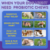 Dog Probiotics Chews 500 Chews, Sensitive Stomach Support Crunchy Shell with Krill Core, Triple Probiotics & Prebiotics, Digestion, Immunity & Skin Care, Chicken Flavor, for All Breeds & Sizes Dogs