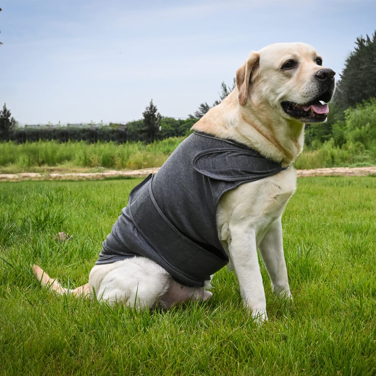 HCHYEY Dog Anxiety Jacket, Skin-Friendly Calming Shirt for Dogs - Dog Vest for Thunder, Fireworks and Separation - Keep Pet Calm Without Medicine & Training, Anti Anxiety Coat for Dogs (Dark Grey, XL)