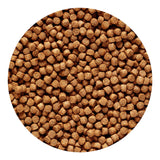 Hikari 2.2-Pound Sinking Cichlid Gold Pellets for Pets, Mini