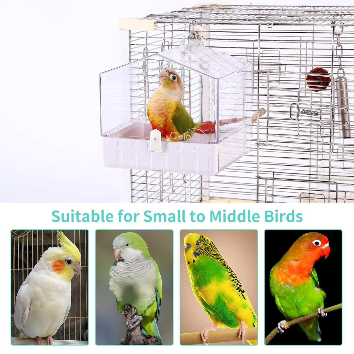 Colorday Bird Bath for Cage, Parrot Bath for Small to Medium Birds, Cockatiels, Parakeets, Budgie, Quaker, Conure, Lovebirds, Finches(6.7X6.7X7.74 inch)