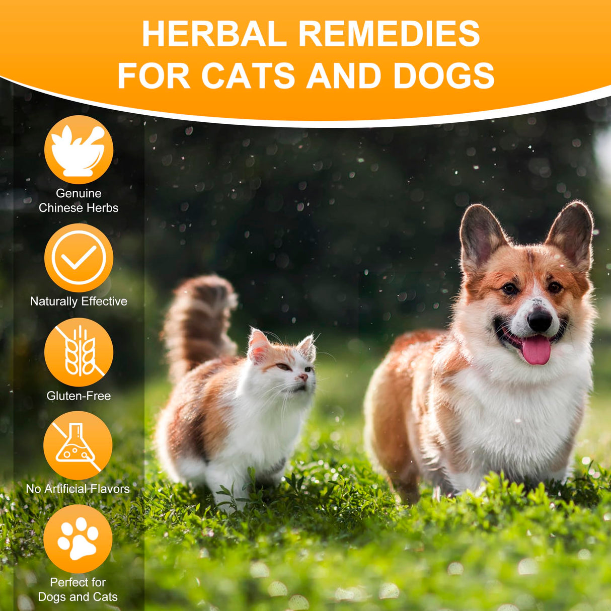 Dog & Cat Bladder Crystals Treatment or Stone, Bladder Kidney Stones Dissolver for Pet, Cat Dog Urinary Tract Supplements for Kidney and Bladder Stones, Urinary Free The Flow, 2 fl oz (59ml)