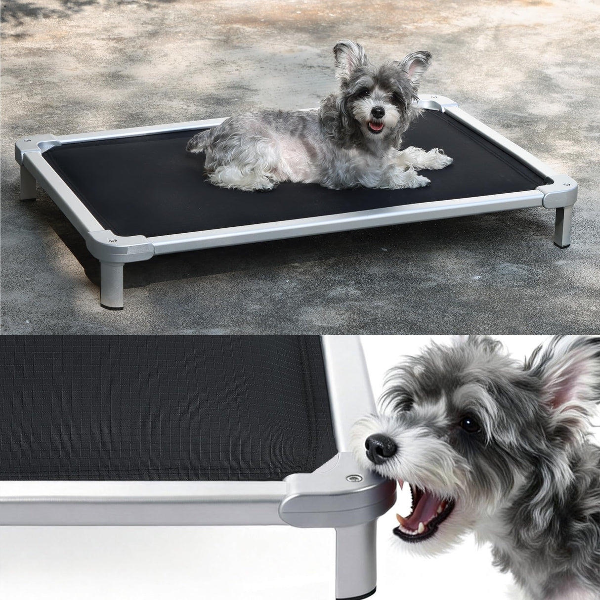 Senneny Chew Proof Elevated Dog Bed Small Sized Dog, Raised Cot for Indoor Outdoor Camping, Heavy-Duty Chew Resistant Hidden Fabric Indestructible Dog Bed, S, 36" L x 24" W x 4.5" H