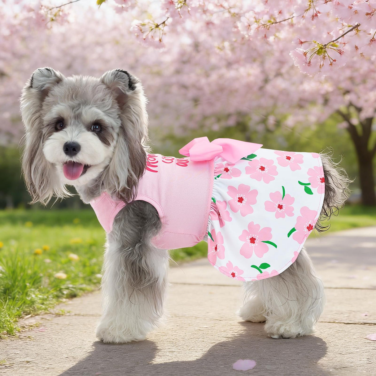 XPUDAC 4 Pack Cute Dog Dress with Bowknot Dog Clothes Puppy Skirt Mommy Floral Bunny Egg Shamrock Print for St. Patrick's Day Easter Holiday Pet Outfit for Girls, M
