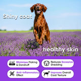 Omega 3 Fish Oil Chews for Dogs – Skin & Coat Supplement for Dog Allergy Chews- Anti Itch for Dogs - Soothes Itchy Skin & Shedding with Salmon - EPA & DHA - Chicken Flavor - 180 Chews for Daily Care